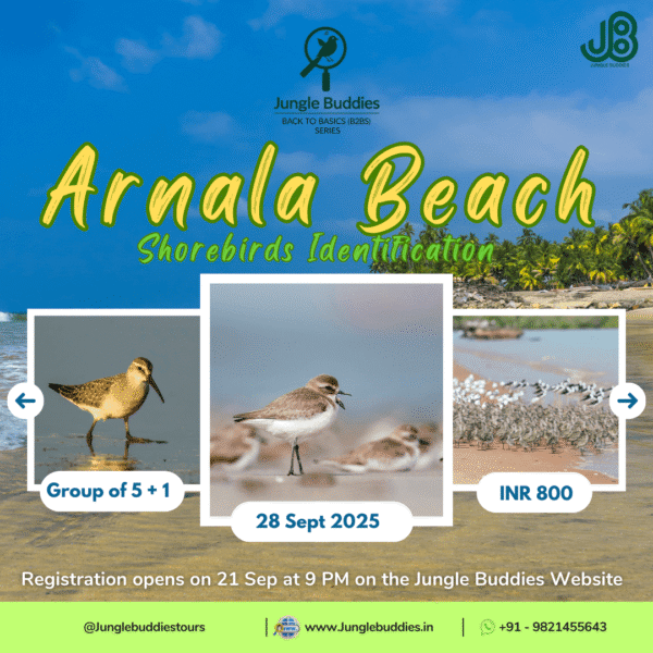 Nature Walks by Jungle Buddies for September 2025 (