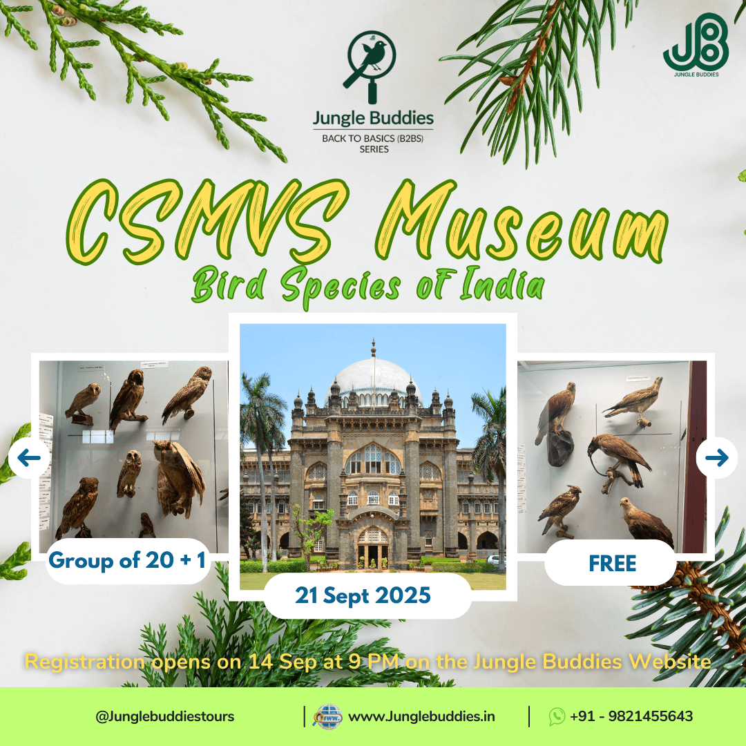 Nature Walks by Jungle Buddies for September 2025