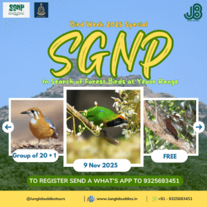 Bird Watching in Yeoor Hills, SGNP, Thane - November 2025 Bird Walk by Jungle Buddies Tours