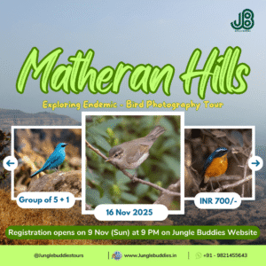 Matheran Hills Birding