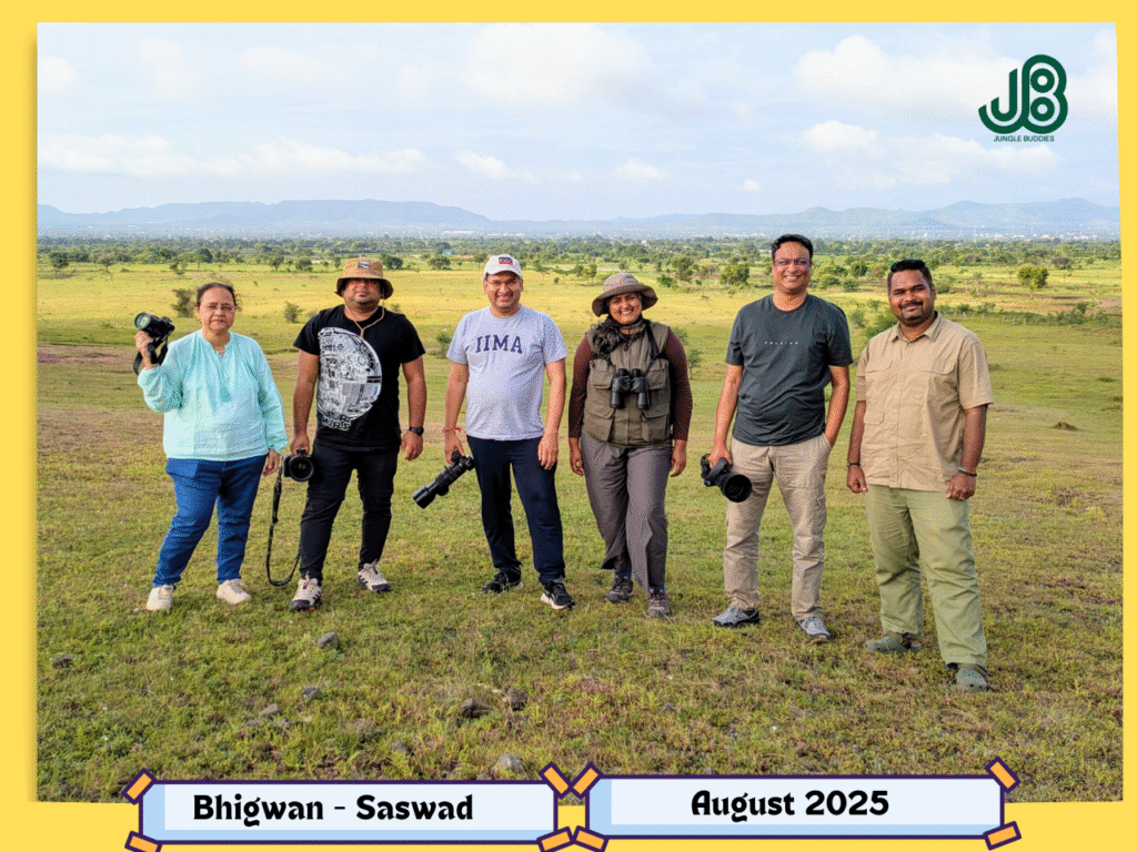 On the Trail of Grassland Gems: Our Annual Bhigwan & Saswad Quest