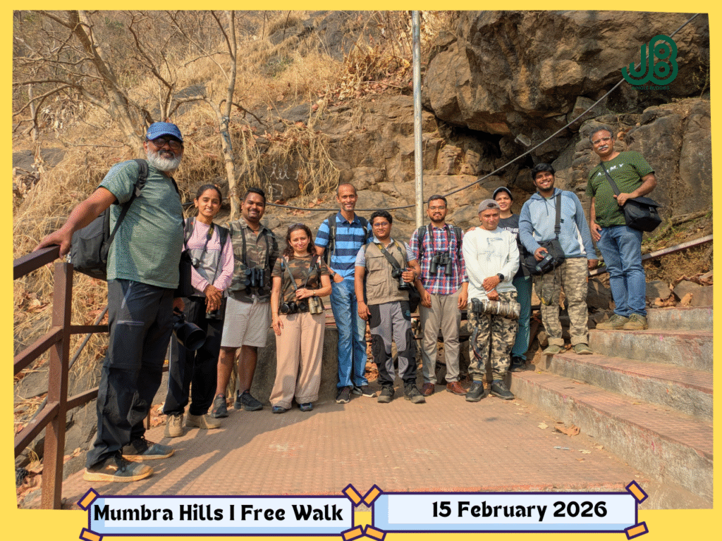 Annual Birding at Mumbra Hills