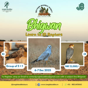Raptor ID Workshop by Jungle Buddies Tour in Bhigwan 2025