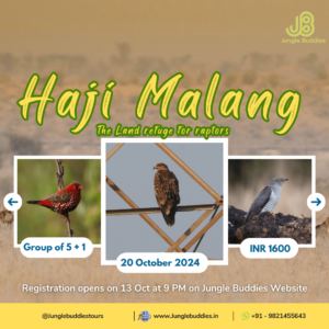 Raptor Watch at Haji Malang by Jungle Buddies