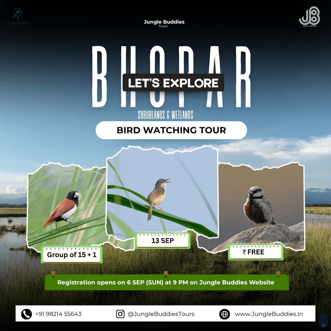 Bhopar Nature Trails by Jungle Budies Tours l September 2026