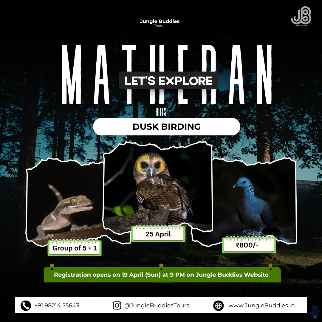 Matheran Hill a Dusk