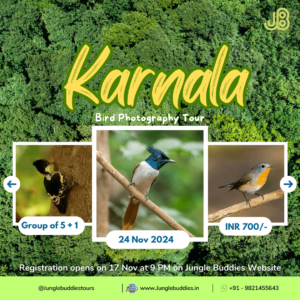 Karnala Bird Sanctuary Jungle Buddies Tours