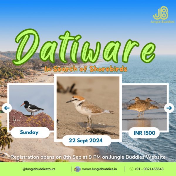 Datiware