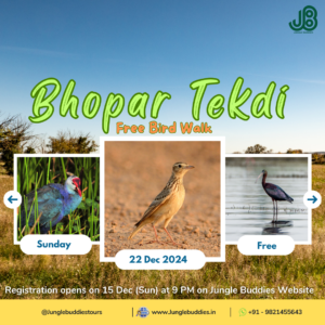 Free Bird Walk at Bhopar Tekdi