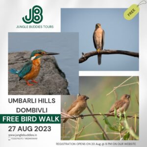 Umbarli hill bird walk