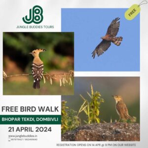 Free Bird Walk Bhopar