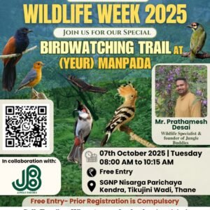 Wildlife Week 2025