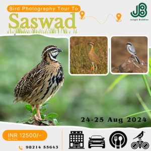 Saswad Grasslands